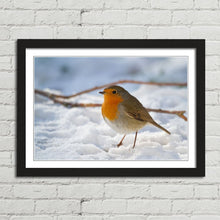 Load image into Gallery viewer, Robin Red Breast Winter Christmas Snow