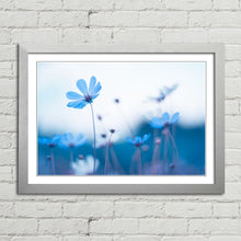 Load image into Gallery viewer, Delicate Blue Flowers