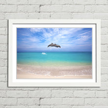 Load image into Gallery viewer, Dolphins Jumping Thailand