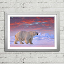 Load image into Gallery viewer, Polar Bear on Arctic Ice