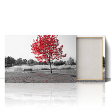 Load image into Gallery viewer, Red Tree Park Bench Lake Nature