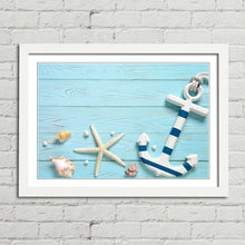 Load image into Gallery viewer, Marine Anchor Starfish Shells