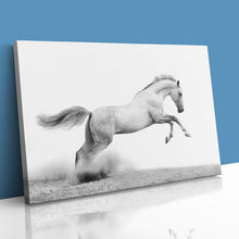 Load image into Gallery viewer, Stallion Horse Equestrian