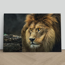 Load image into Gallery viewer, Lion Staring Portrait