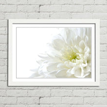 Load image into Gallery viewer, White Flower