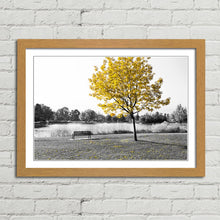 Load image into Gallery viewer, Yellow Tree Park Bench Lake