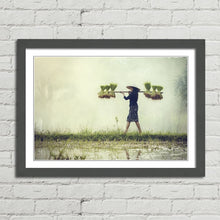 Load image into Gallery viewer, Farmer Rice in Rainy Season Vietnam