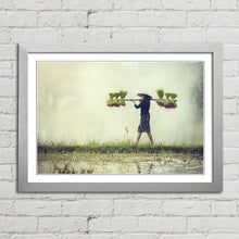 Load image into Gallery viewer, Farmer Rice in Rainy Season Vietnam