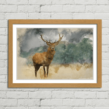 Load image into Gallery viewer, Red Deer Stag Watercolour Painting