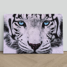 Load image into Gallery viewer, Blue Eyed White Tiger
