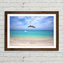 Load image into Gallery viewer, Dolphins Jumping Thailand