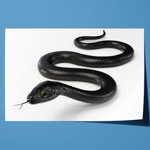 Load image into Gallery viewer, Black Snake with Forked Tongue