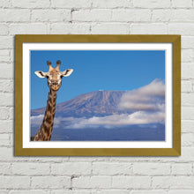 Load image into Gallery viewer, Giraffe near Mount Kilimanjaro