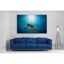 Load image into Gallery viewer, Green Sea Turtle on Maui Reef