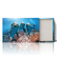 Load image into Gallery viewer, Cute Dolphins Underwater