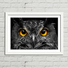 Load image into Gallery viewer, Cute Owl Staring