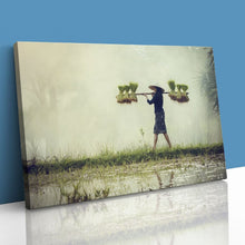 Load image into Gallery viewer, Farmer Rice in Rainy Season Vietnam