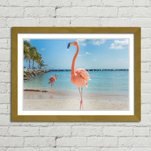 Load image into Gallery viewer, Pink Flamingo in Aruba