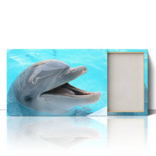 Load image into Gallery viewer, Dolphin Smiling Happy