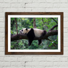 Load image into Gallery viewer, Sleeping Panda China