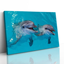 Load image into Gallery viewer, Smiling Dolphins Close Up