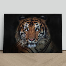 Load image into Gallery viewer, Sumatran Tiger Staring