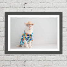 Load image into Gallery viewer, Cat on Holiday in Shirt Hat Funny Cute