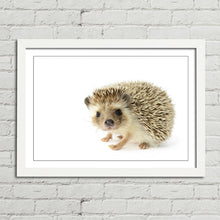 Load image into Gallery viewer, Hedgehog Close Up Selfie