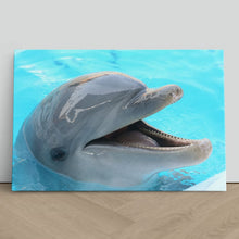 Load image into Gallery viewer, Dolphin Smiling Happy