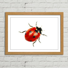 Load image into Gallery viewer, Ladybird Close Up Nature