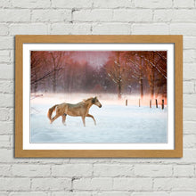 Load image into Gallery viewer, Horse Running in Snow