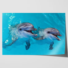 Load image into Gallery viewer, Smiling Dolphins Close Up