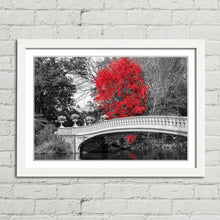 Load image into Gallery viewer, Red Tree Central Park Bridge New York