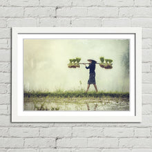 Load image into Gallery viewer, Farmer Rice in Rainy Season Vietnam