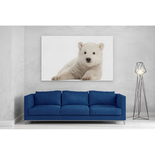 Load image into Gallery viewer, Polar Bear Cub Baby