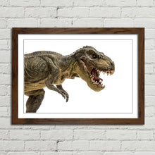 Load image into Gallery viewer, Tyrannosaurus T Rex Dinosaur