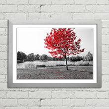 Load image into Gallery viewer, Red Tree Park Bench Lake Nature