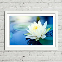 Load image into Gallery viewer, White Lotus Flower in Pond