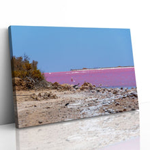 Load image into Gallery viewer, Pink Lake Salt Crystals Australia