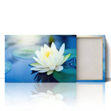 Load image into Gallery viewer, White Lotus Flower in Pond