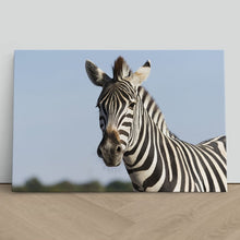 Load image into Gallery viewer, Zebra Safari in Africa