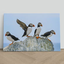 Load image into Gallery viewer, Atlantic Puffins on Rock