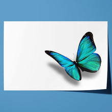 Load image into Gallery viewer, Turquoise Butterfly Nature