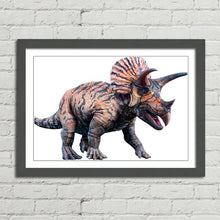 Load image into Gallery viewer, Triceratops Dinosaur