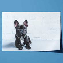 Load image into Gallery viewer, French Bulldog Puppy Cute Pet