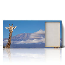 Load image into Gallery viewer, Giraffe near Mount Kilimanjaro