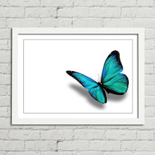 Load image into Gallery viewer, Turquoise Butterfly Nature