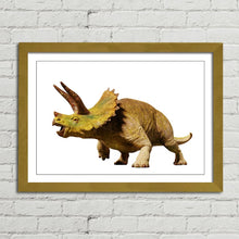 Load image into Gallery viewer, Triceratops Dinosaur Reptile