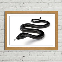 Load image into Gallery viewer, Black Snake with Forked Tongue