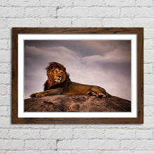 Load image into Gallery viewer, Lion King on Pride Rock
